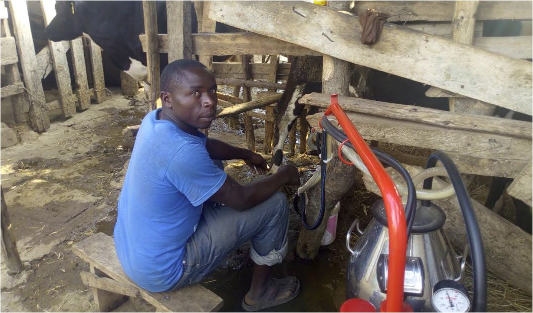 AKILIMALI: Mwalimu anavyotumia teknolojia kuvuna hela kutokana na kilimo mseto Makueni