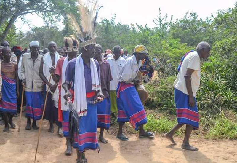 USWAHILINI: Turathi ya Misitu ya Kaya na manufaa yake kwa Wamijikenda