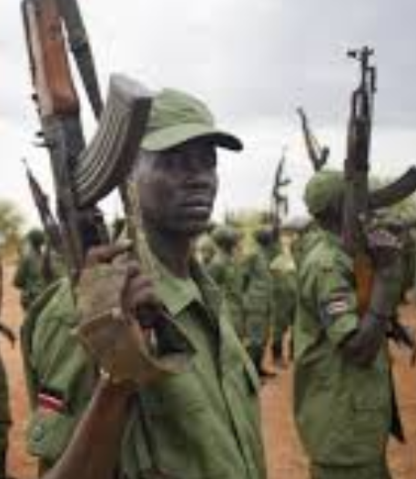DOUGLAS MUTUA: Sudan hatarini kutekwa na jeshi kama Misri