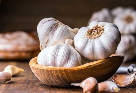 KIDIJITALI: Apu ya ‘Kalro Garlic’ kusaidia wakulima wanaoazimia kukuza vitunguu saumu nchini