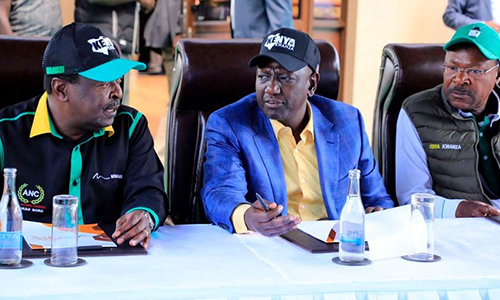 Mkataba wa Kenya Kwanza waumiza ANC na Ford Kenya
