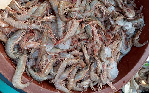 MAPISHI KIKWETU: Jinsi ya kuandaa uduvi almaarufu ‘shrimps’