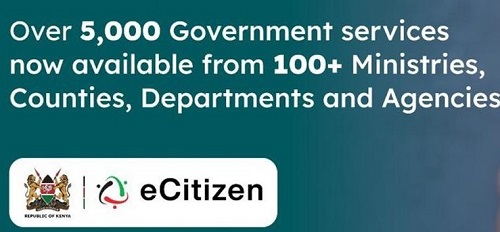 Kilio zaidi serikali ikiongeza ada e-Citizen