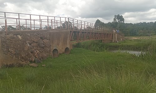Chimbuko la mtaa wa Manguo ambapo wakazi huishi na viboko
